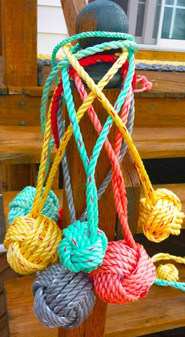 Floating Dog Toys