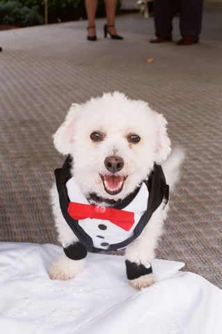 Tuxedo