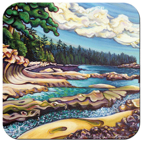Botanical Beach, by Elissa Anthony