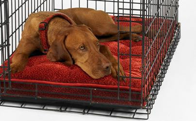 Luxury Crate Mattress