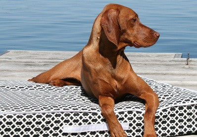 Rectangular Patio Cushion