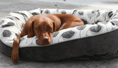 The Orio Bed