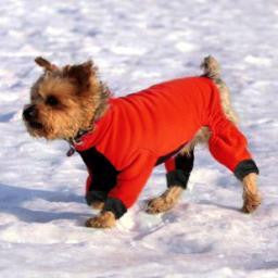 Dog winter bodysuit clearance