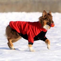 Dog Winter Jacket "BAWA"