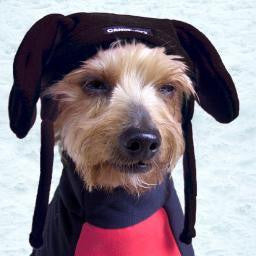 SOREX Dog Hat