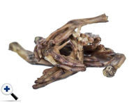 Duck Feet