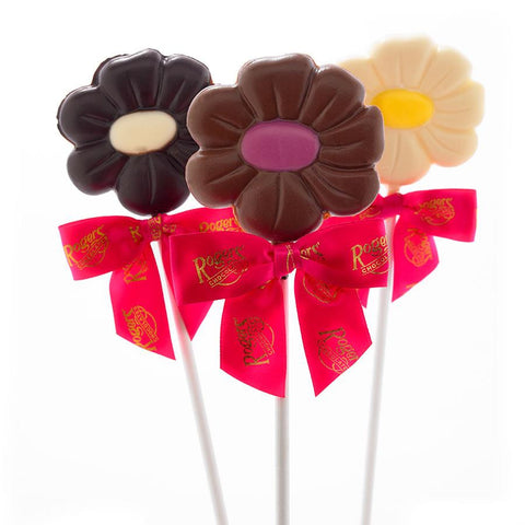 Daisy Lollipop - Milk Chocolate