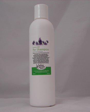 Lavender Shampoo For Dogs