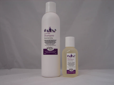 Lavender Shampoo